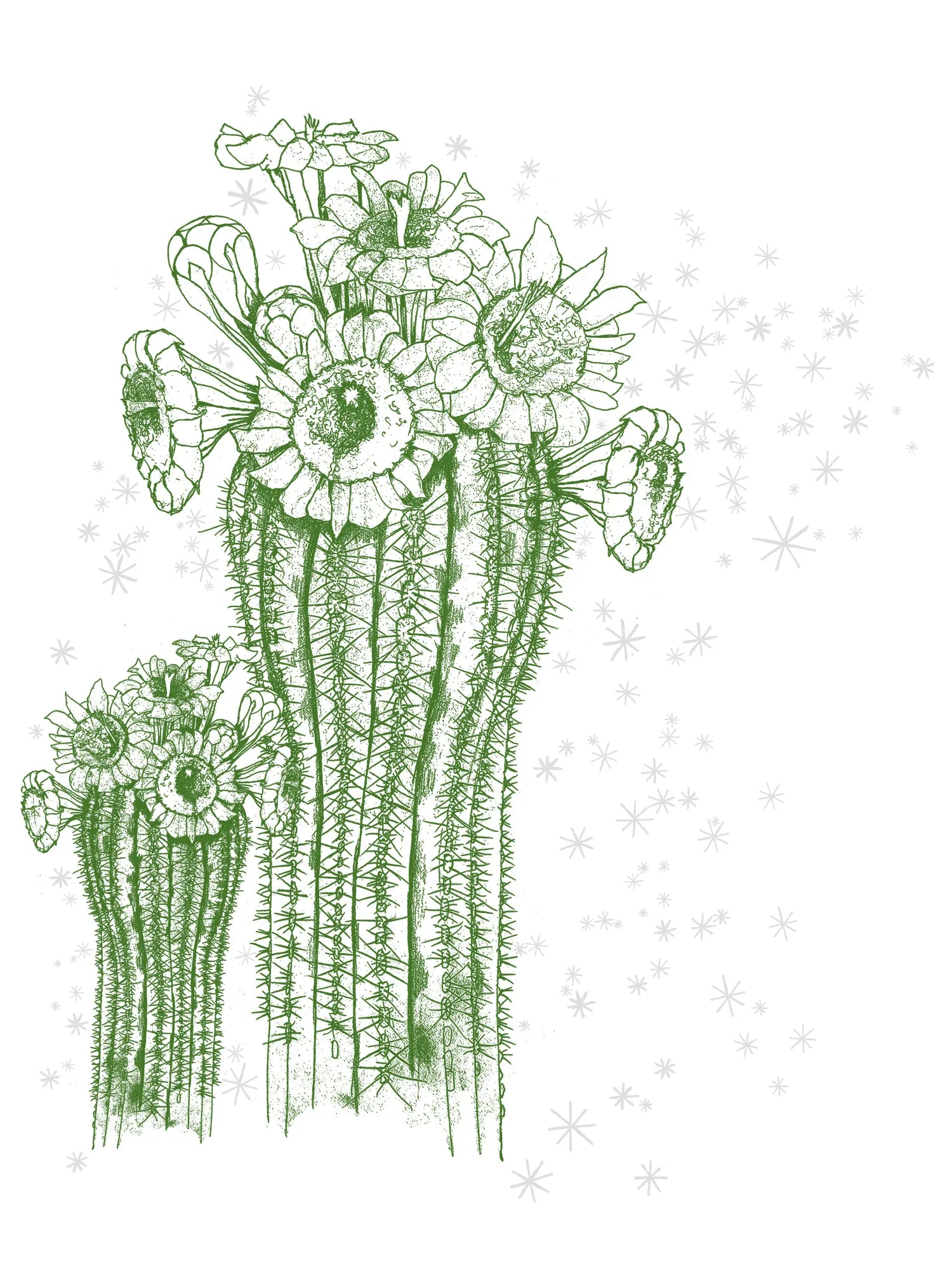 Calliope Tee - Saguaro And Stars