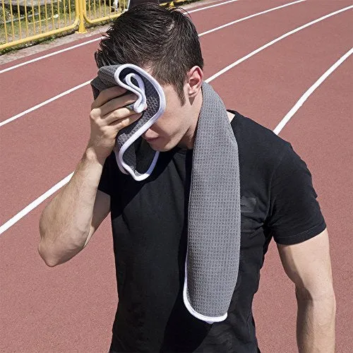 desired Fitness Gym Towels (2 Pack) for Workout, Sports and Exercise - Soft, Lightweight, Quick-drying, Odour-free