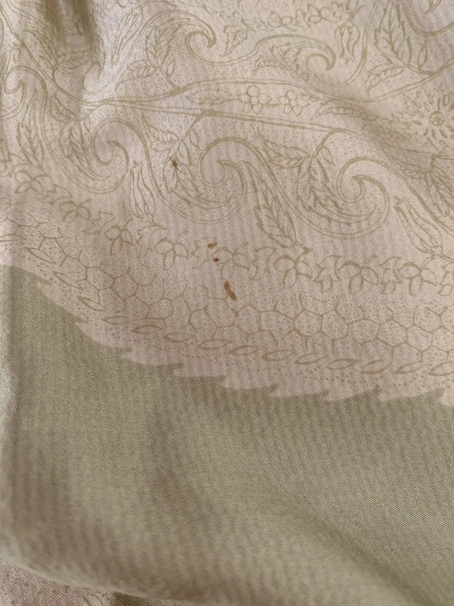 Dries Van Noten Light Green Paisley Silk Blouse Sz 38
