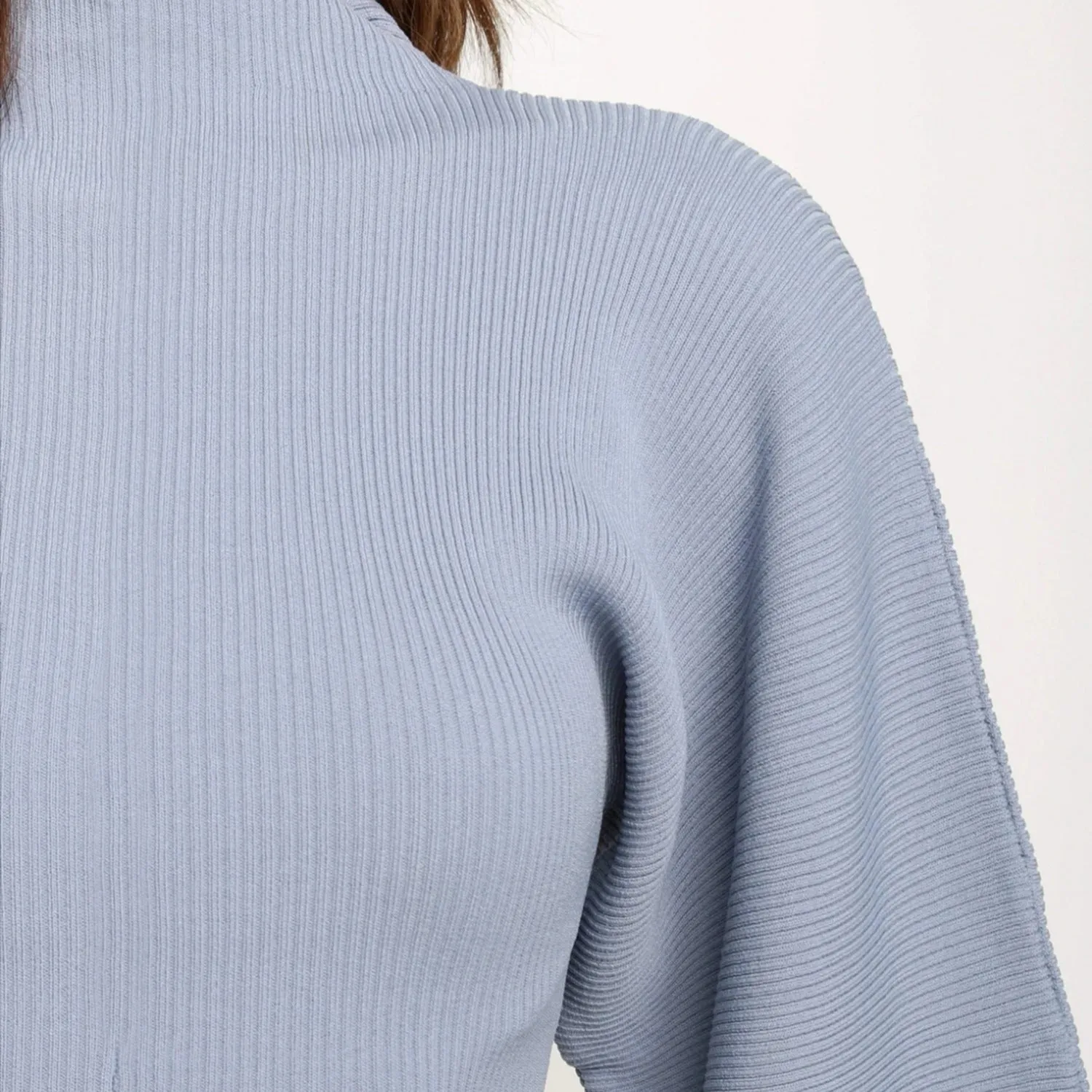 High Collar Knit Lantern Sleeve Sweaters