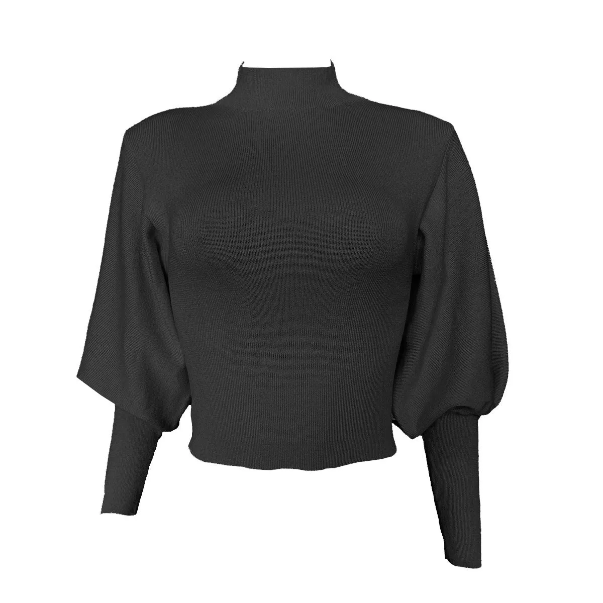 High Collar Knit Lantern Sleeve Sweaters