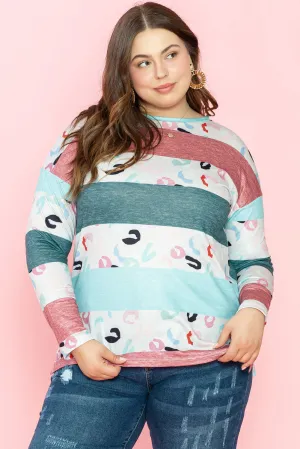 Plus Size Colorblock Pullover Top